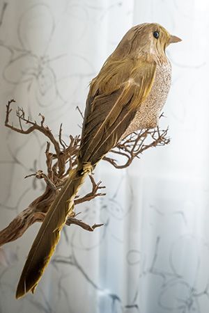 Ёлочное украшение птичка ЗОЛОТАЯ АПОЛЛОНОВКА на клипсе, перо, золотая, 30 см, Kaemingk (Decoris)