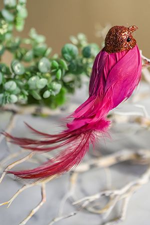 Украшение птичка КУДРЯВЫЙ ГОЛУБОК малиновый, на клипсе, перо, 18 см, Kaemingk (Everlands)