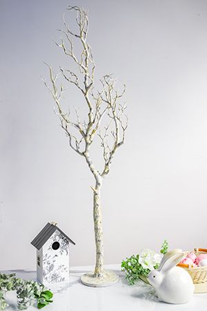   Ш , 107 , Edelman