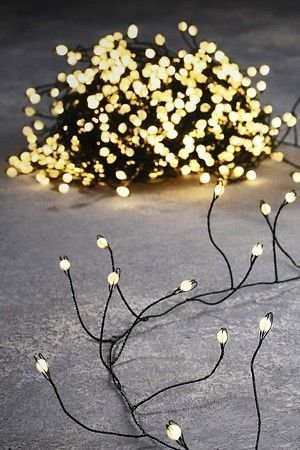     -   (Snake), 240    LED- ( ), 6+5 ,  , , Edelman, Luca