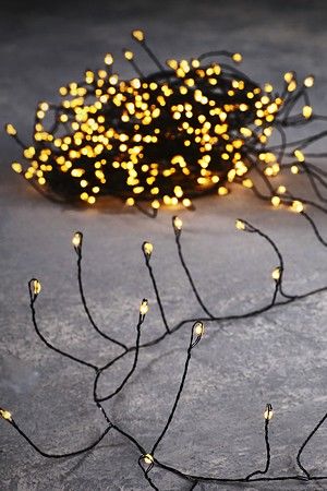    -   (Snake), 400     LED- ( ), 10+5 ,  , , Edelman, Luca