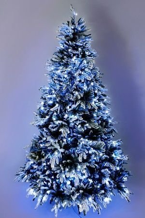 Искусственная елка с огоньками Polaris заснеженная 210 см, 520 холодных белых ламп, ЛИТАЯ + ПВХ, BEATREES