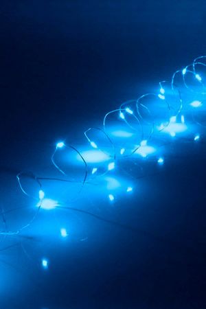 Светодиодная гирлянда РОСА, 3 м, 30 синих белых LED-огней, серебряная проволока, батарейки, IP20, Serpantin