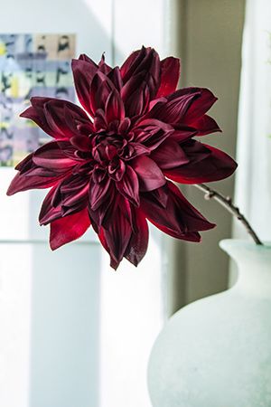 Искусственный цветок РОМАНТИЧНЫЙ ГЕОРГИН на стебле, полиэстер, бордовый, 67 см, Kaemingk