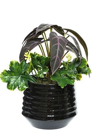 Искусственное растение в горшке УЮТНОЕ АССОРТИ, полиэстер, пластик, фиолетовые листья, 25 см, Kaemingk