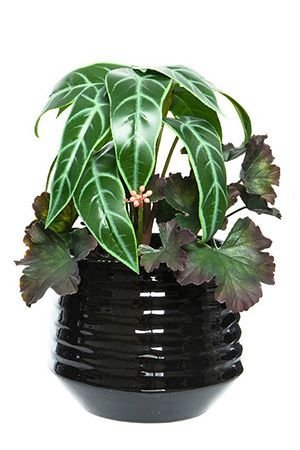 Искусственное растение в горшке УЮТНОЕ АССОРТИ, полиэстер, пластик, зеленые листья, 25 см, Kaemingk