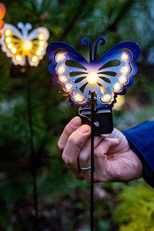   Solar FAIRY BUTTERFLY   , , 11    LED-, 75 , Kaemingk (Lumineo)