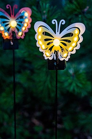   Solar FAIRY BUTTERFLY   , , 11    LED-, 75 , Kaemingk (Lumineo)