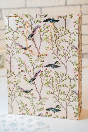 Подарочный пакет РАЙСКИЕ ПТИЦЫ, пудровый, 34х25 см, Koopman International