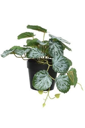 Искусственное растение ЦЕРОПЕГИЯ, 18 см, Kaemingk