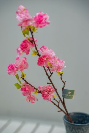 Декоративная ветка ФИОРИТУРА, нежно-розовая, 76 см, Kaemingk