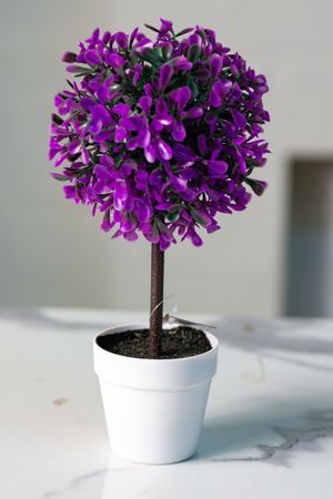 Искусственное растение в горшке ЧЕСПУЛЬО ЛИЛЛА, 23 см, Koopman International