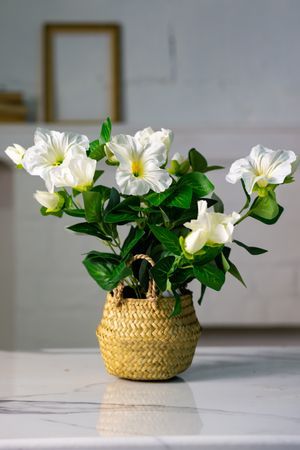Искусственный цветок в горшке ГИБИСКУС БЕЛЫЙ, 35х20 см, Koopman International