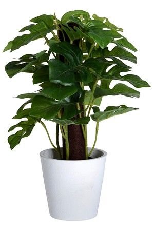 Искусственное растение МОНСТЕРА В КАШПО, 25х10 см, Koopman International