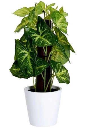 Искусственное растение ТАРО В КАШПО, 25х10 см, Koopman International