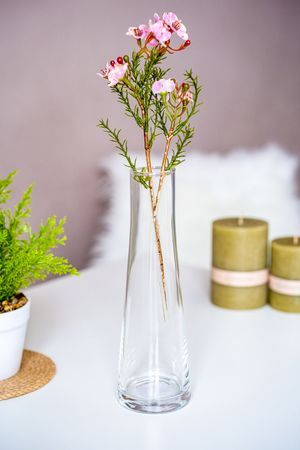Декоративная ваза ИКСИЯ, стекло, 21 см, Edelman