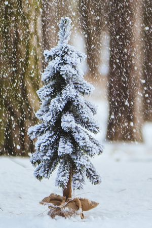 Настольная ёлка КАНАДИАН с натуральным стволом, заснеженная, хвоя ПВХ, 65 см, Decorland