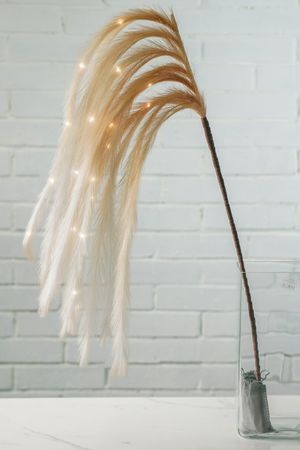 Декоративная ветка БЕРГДИС, кремовая, тёплые белые LED-огни, 130 см, таймер, батарейки, Koopman International