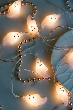 Декоративная светодиодная гирлянда ХЭЛЛОУИН: ПРИВИДЕНИЯ-ОЧАРОВАШКИ, 135+30 см, 10 тёплых белых LED-огней, батарейки,, Koopman International