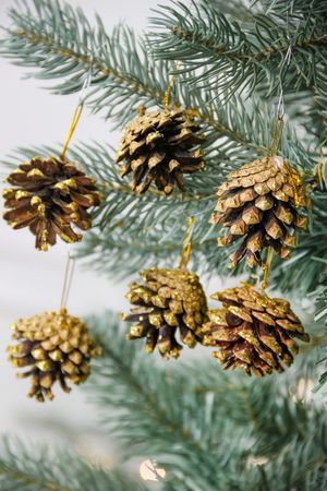 Набор для декорирования ШИШКИ СОСНОВЫЕ натуральные, 4.5 см, 5 шт., Winter Deco