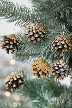 Набор для декорирования ШИШКИ СОСНОВЫЕ, 4.5 см, 5 шт., Winter Deco