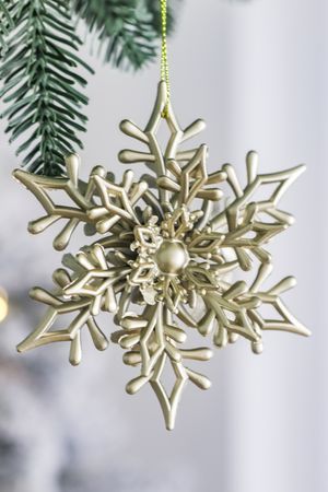 Ёлочное украшение СНЕЖИНКА 'ЛИСЭЛЬ', пластик, золотой, 11 см, Winter Deco