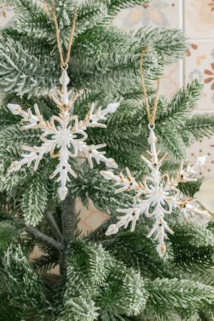Набор ёлочных украшений СНЕЖИНКИ 'ЭЛИДЖЕС', металл, 12 см, 2 шт., Winter Deco