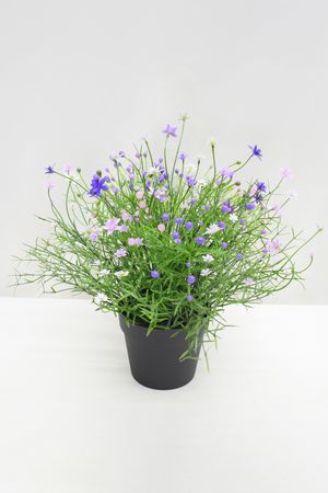Искусственные цветы в горшке ЦВЕТОЧКИ-ЯГОДКИ, 23 см, Summer Deco