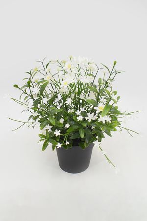 Искусственные цветы в горшке ИЮЛЬСКИЙ ПОЛДЕНЬ, белые, 30 см, Summer Deco