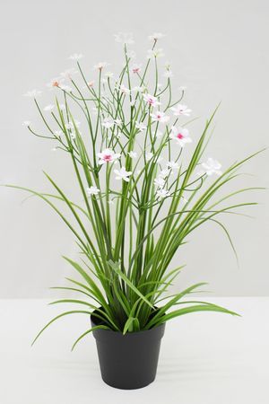 Искусственные цветы в горшке ОЧАРОВАНИЕ ФЛОРЫ, белые, 38 см, Summer Deco