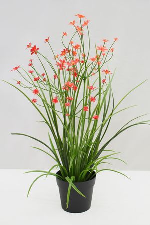 Искусственные цветы в горшке ОЧАРОВАНИЕ ФЛОРЫ, красные, 38 см, Summer Deco