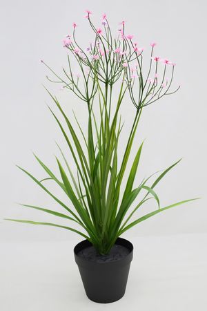 Искусственные цветы в горшке ОЧАРОВАНИЕ ФЛОРЫ, розовые, 50 см, Summer Deco