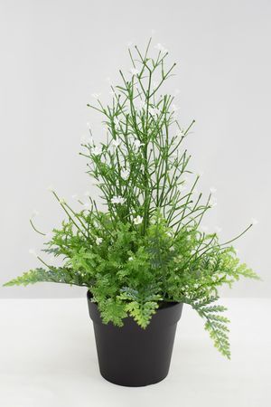 Искусственное растение в горшке ЦВЕТУЩИЙ ПАПОРОТНИК, 28 см, Summer Deco