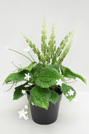 Искусственное растение в горшке ЗВЁЗДОЧКИ В ТРАВЕ, 24 см, Summer Deco