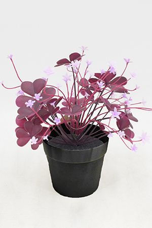 Искусственное растение в горшке ОКСАЛИС - ВЕСТНИК СЧАСТЬЯ, 22 см, Summer Deco