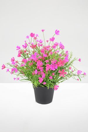Искусственные цветы в горшке ЯРКИЙ АКЦЕНТ, фуксия, 23 см, Summer Deco