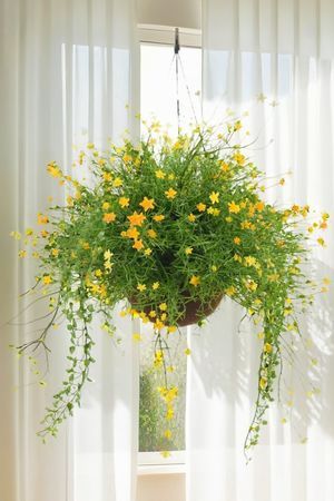 Искусственные цветы в горшке ВОЗДУШНОЕ ОБАЯНИЕ, жёлтые, 44 см, Summer Deco