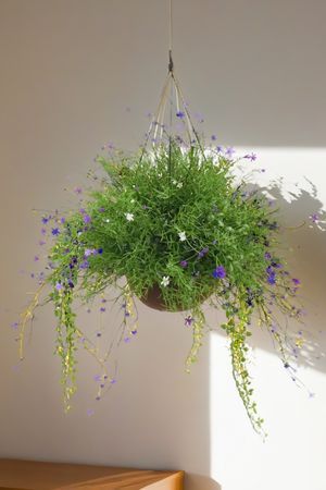 Искусственные цветы в горшке ВОЗДУШНОЕ ОБАЯНИЕ, сиреневые, 44 см, Summer Deco