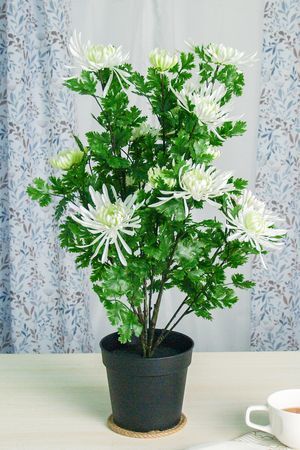 Искусственные цветы в горшке БЕЛЫЕ ХРИЗАНТЕМЫ, 60 см, Summer Deco