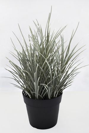 Искусственное растение в горшке АКОРУС, 27 см, Summer Deco