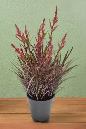 Искусственное растение в горшке АИР, бордовый, 32 см, Summer Deco