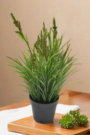 Искусственное растение в горшке АИР, зелёный, 32 см, Summer Deco