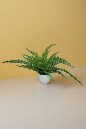 Искусственное растение в горшке БОСТОНСКИЙ ПАПОРОТНИК, 25 см, Summer Deco