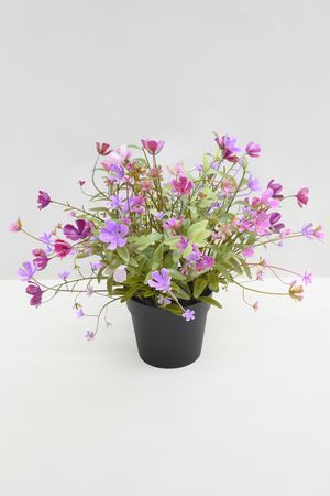 Искусственные цветы в горшке СОЛНЕЧНОЕ ЛЕТО, розовые, 24 см, Summer Deco
