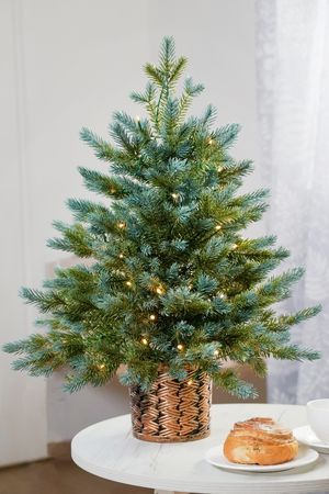 Настольная елка в кашпо ТАМИЛЛА с гирляндой 60 см, 50 LED ламп, на батарейках, ЛИТАЯ 100%, Winter Deco