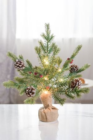 Настольная елка в мешочке СИЛВИ 30 см, 10 LED ламп, с ягодами и шишками, на батарейках, ЛИТАЯ 100%, Winter Deco