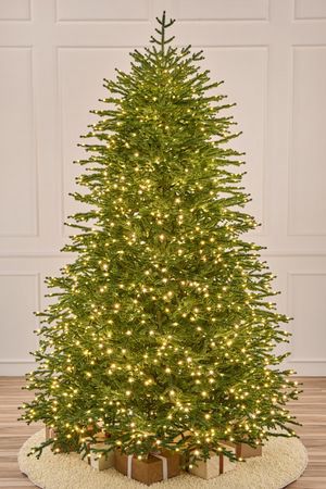 Искусственная елка с лампочками Сиена 225 см, 1680 теплых белых LED ламп, ЛИТАЯ 100%, Max CHRISTMAS