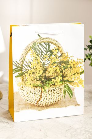 Подарочный пакет КОРЗИНКА МИМОЗЫ, бумага, 25х20 см, Due Esse Christmas