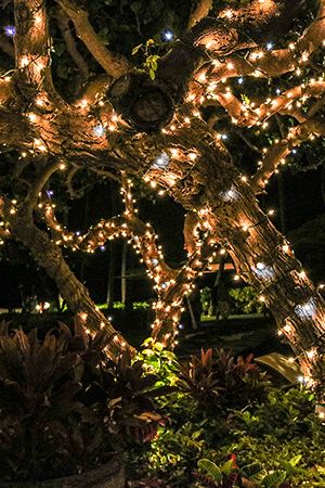 Гирлянды на дерево Клип Лайт Quality Light 30 м, 300 тёплых белых LED ламп, прозрачный ПВХ, IP44, BEAUTY LED