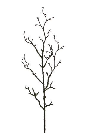 Декоративная ветка ПРЕДЧУВСТВИЕ ВЕСНЫ, пластик, 78 см, Edelman